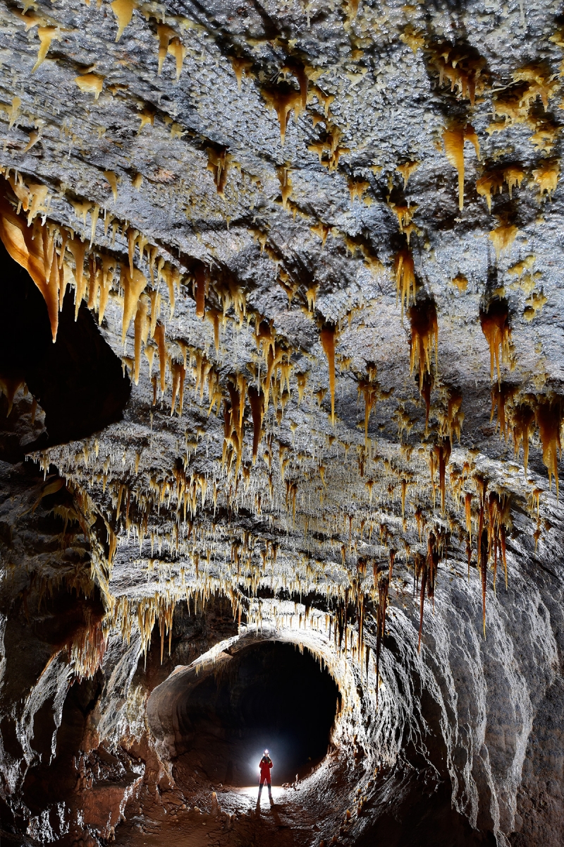 Grotte de Saint-Marcel d'Ardèche - Ancienne conduite forcée avec longues stalactites jaunes au plafond (réseau I)